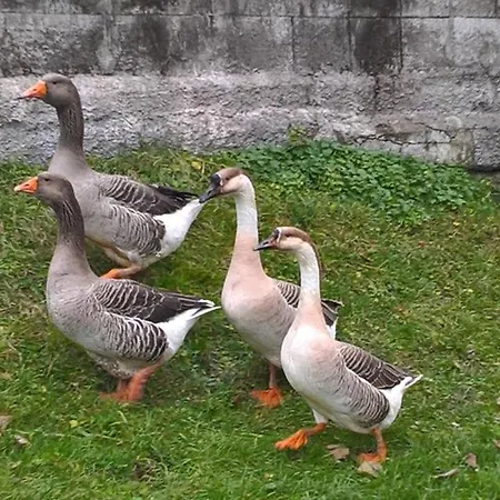 Ubytovanie U Zuzany Brezno